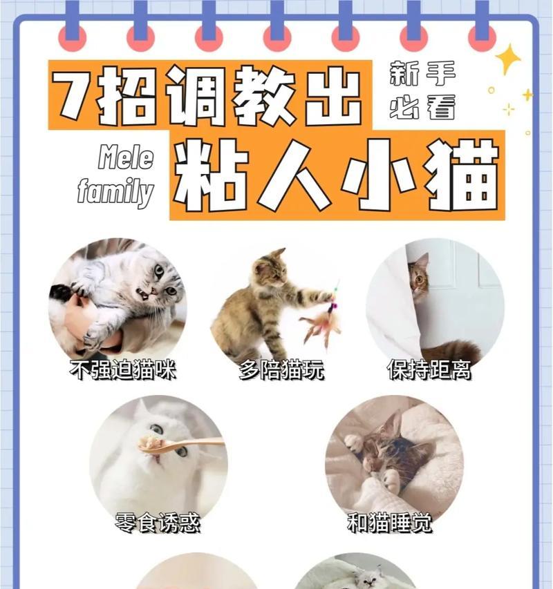 提升亲密度后宠物有哪些变化？  第1张