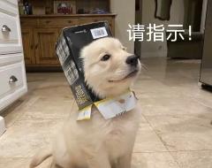 AI 搜索一夜变天，专为 Agent 做搜索的赛道能否诞生百亿美金新巨头？  第12张