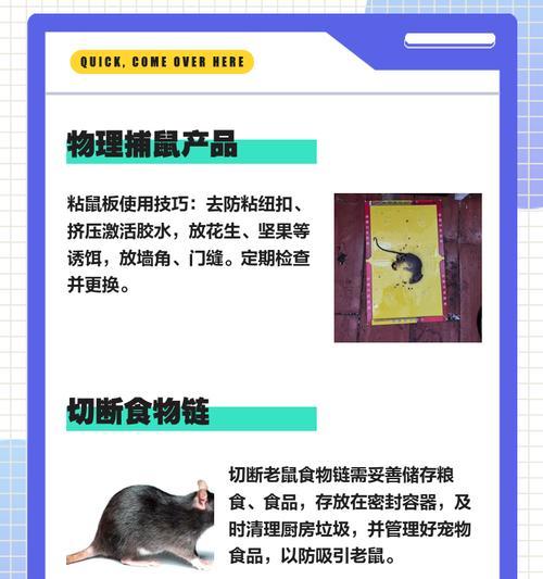 寻仙响马寨拉老鼠的技巧是什么？操作步骤复杂吗？  第1张