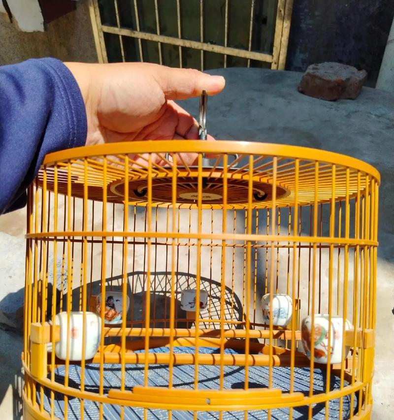 绝地求生中如何有效打竹子和鸟笼？有哪些技巧？  第2张