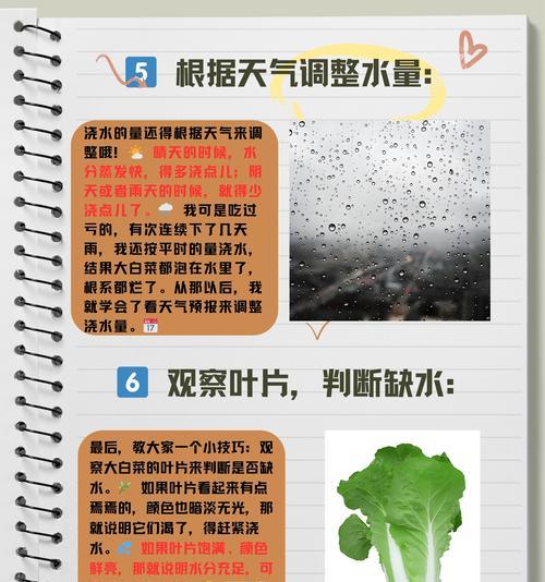 种植业浇水方法是什么？正确步骤介绍？  第2张