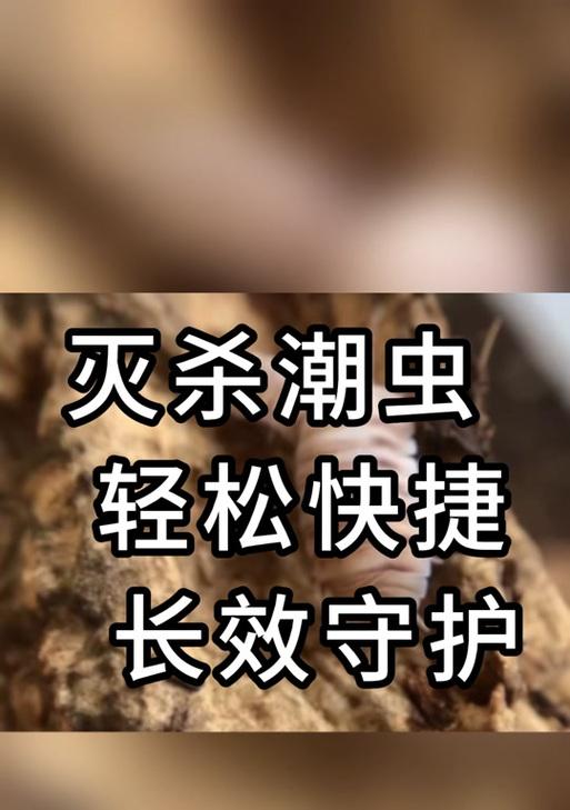 英雄联盟中峡谷潮虫的打法是什么？  第3张