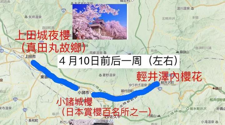 阴阳师一叶樱林怎么走？一叶樱林的路线是什么？  第1张
